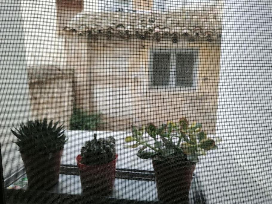 Estudio5 Tudela